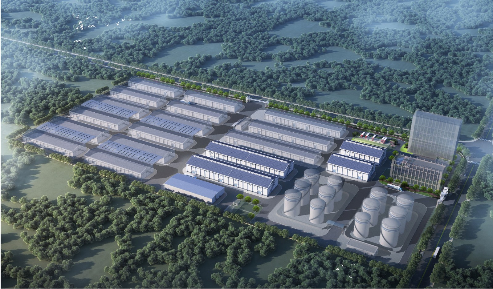 1706691110736 ???????1