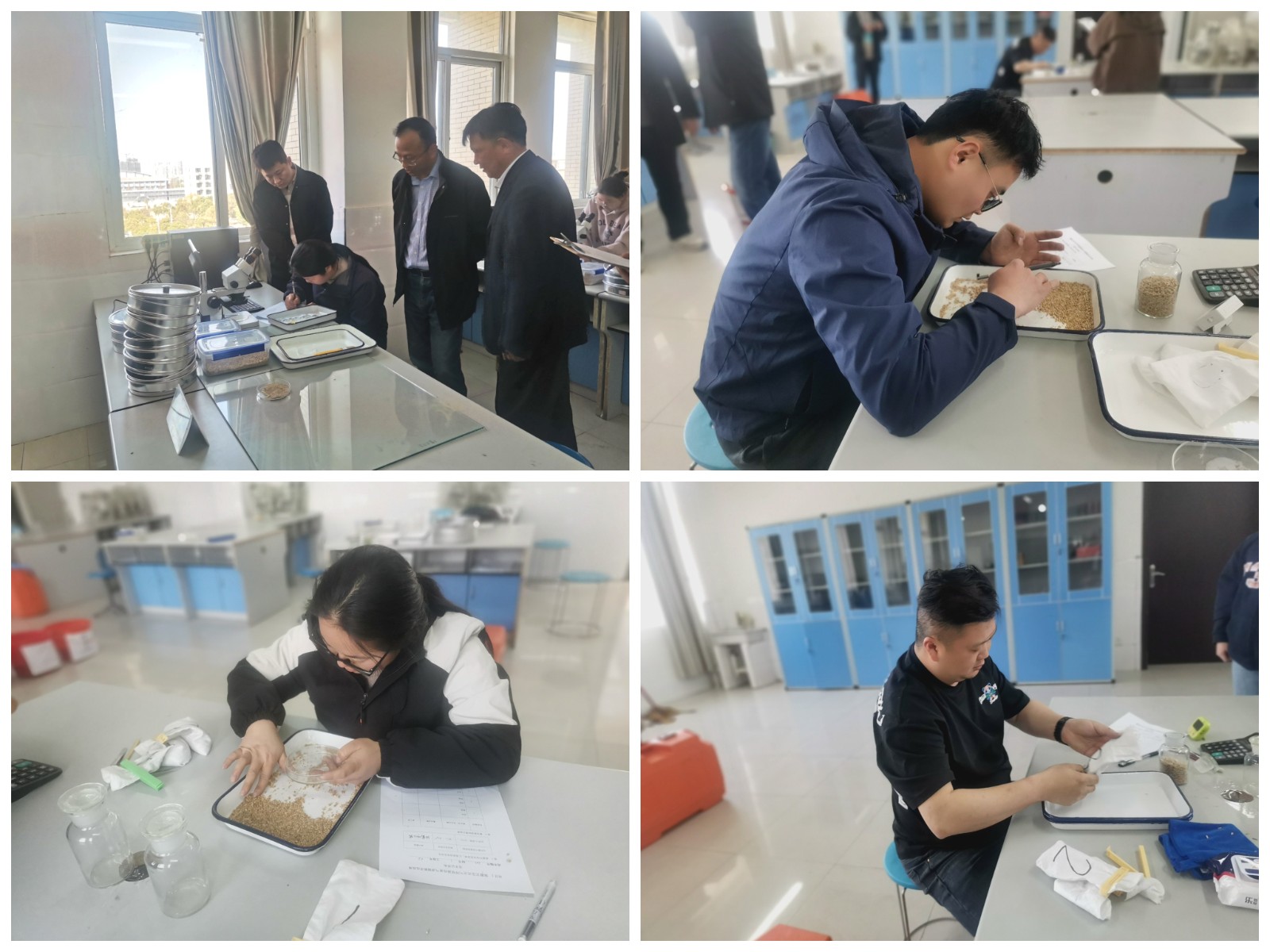 1744364309059 1744364309059