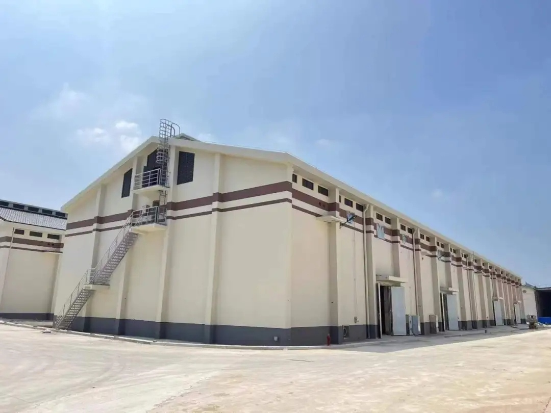 1749200365256 1749200365256