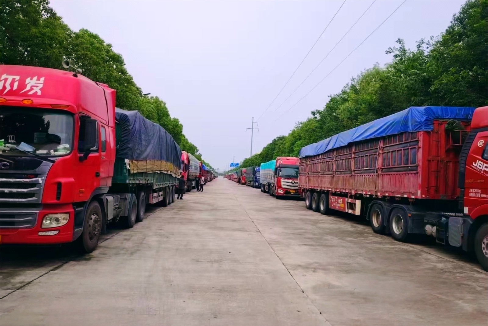 1750300168753 1750300168753