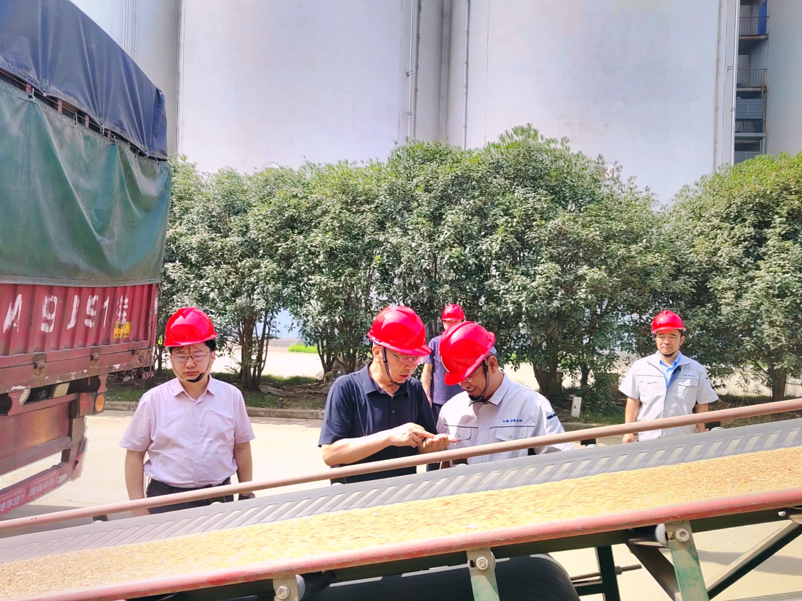 1752234155528 1752234155528