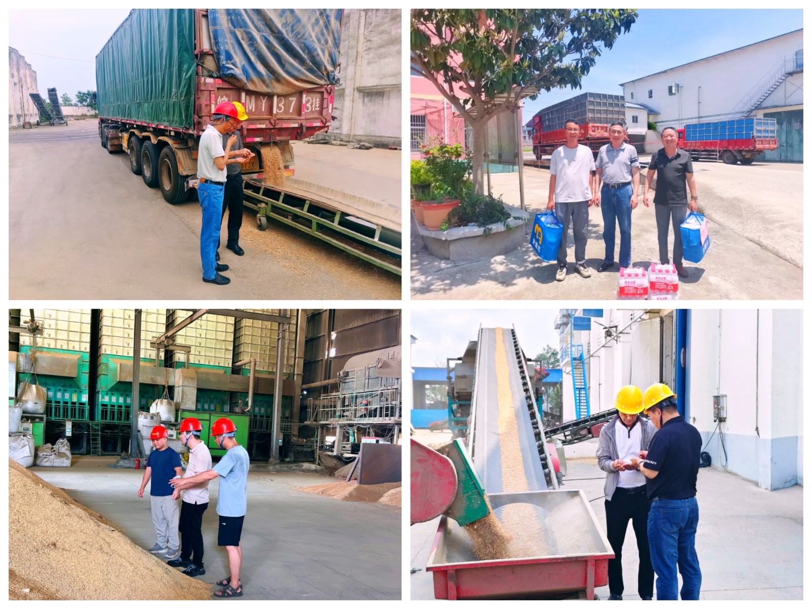 1752234360495 1752234360495