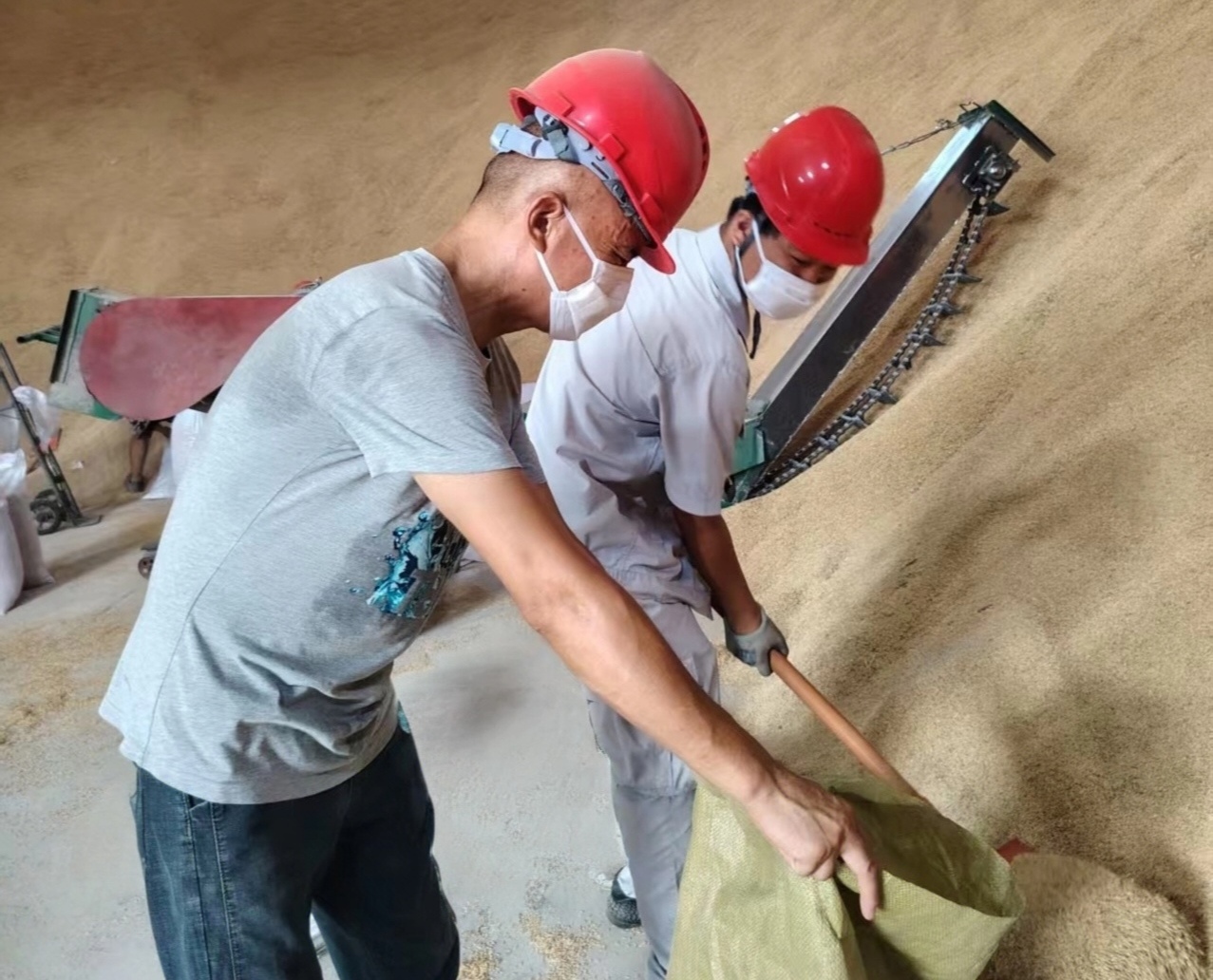 1753754364074 1753754364074