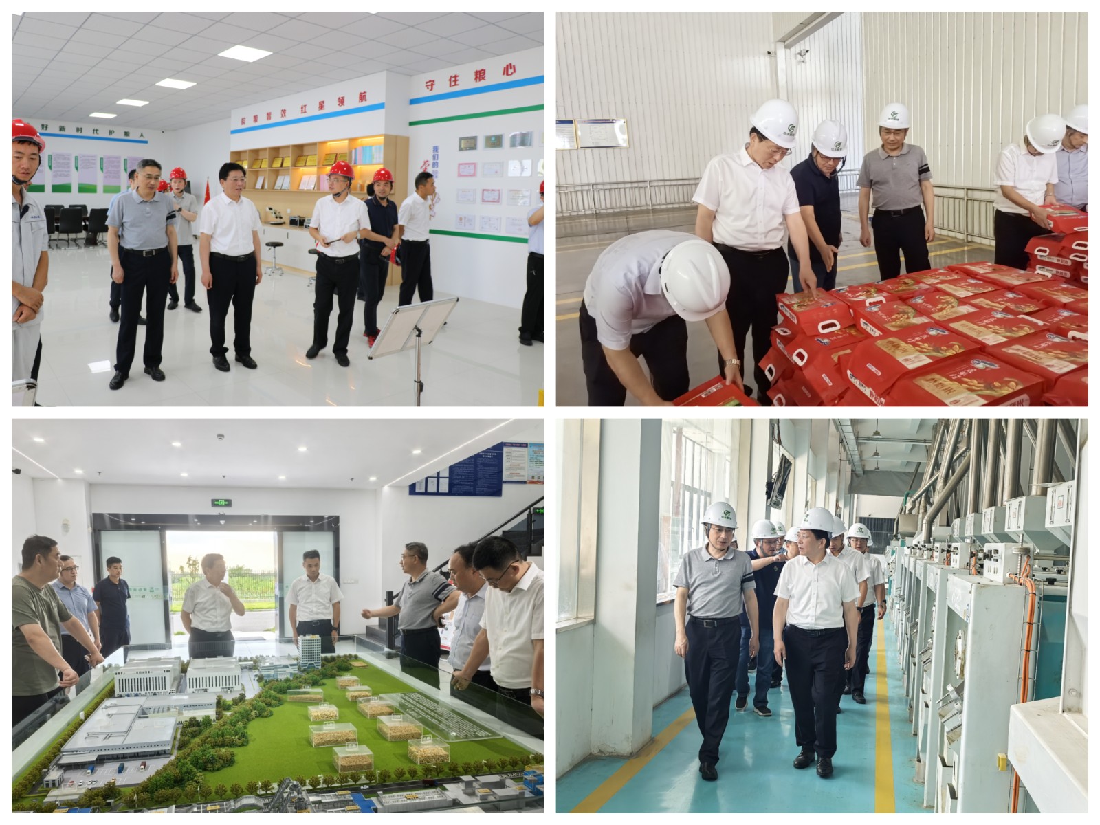 1754898481778 1754898481778