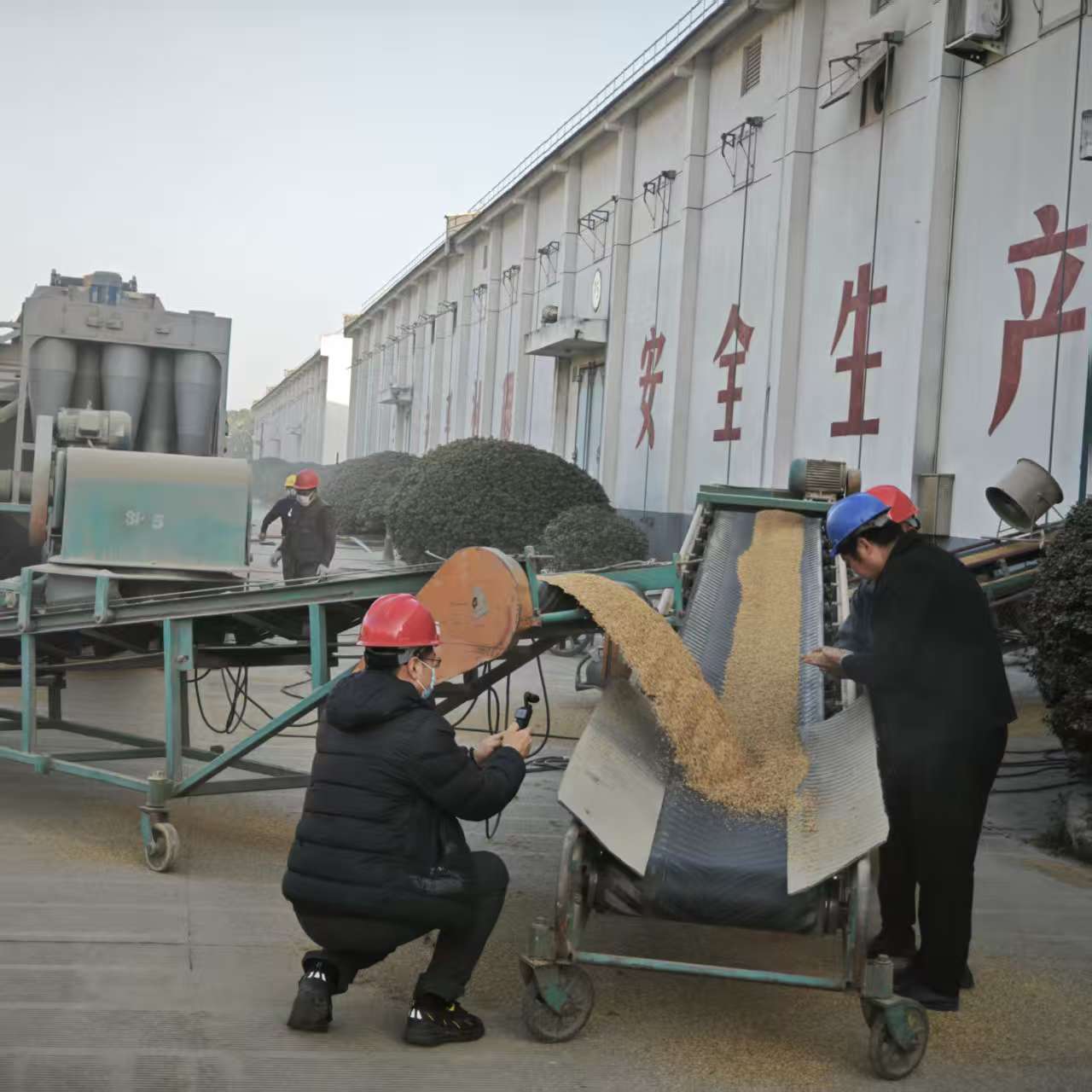 1764206458741 1764206458741