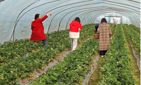 a28d94a2d1847b71b3cb5ad4695a661