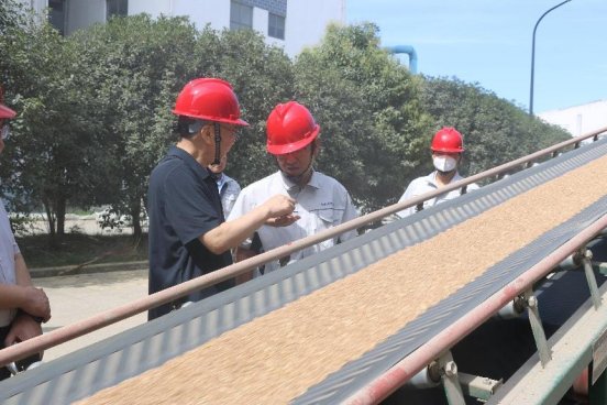 25146949d0d6a4615d4aaba3baabf49